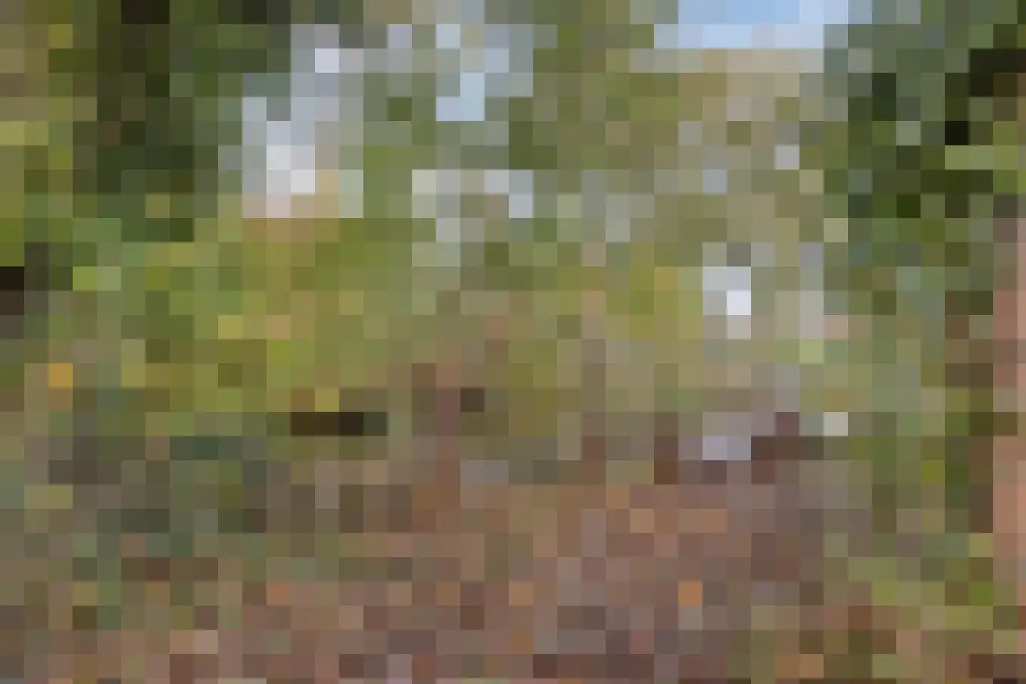 Gealeloane 5 Augustinusga thumbnail 29