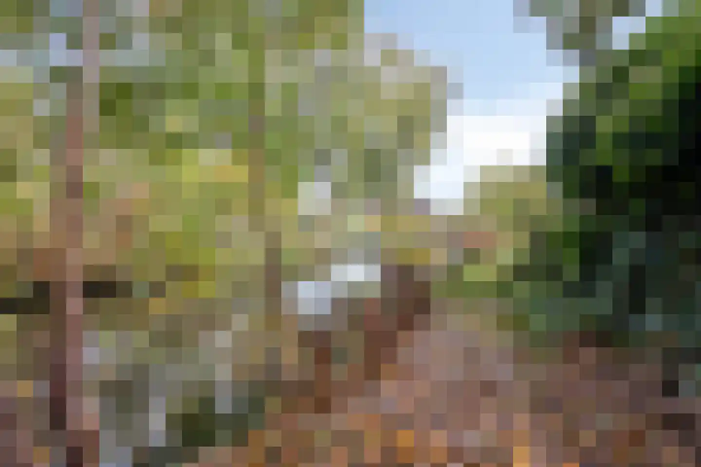 Gealeloane 5 Augustinusga thumbnail 30