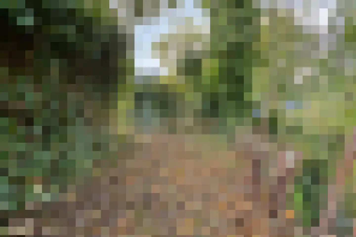 Gealeloane 5 Augustinusga thumbnail 31
