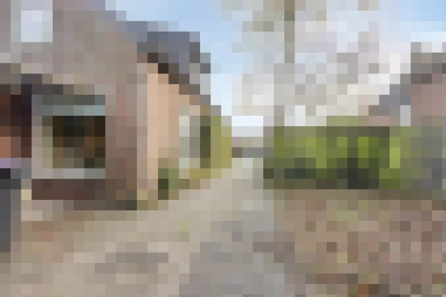 Gealeloane 5 Augustinusga thumbnail 4