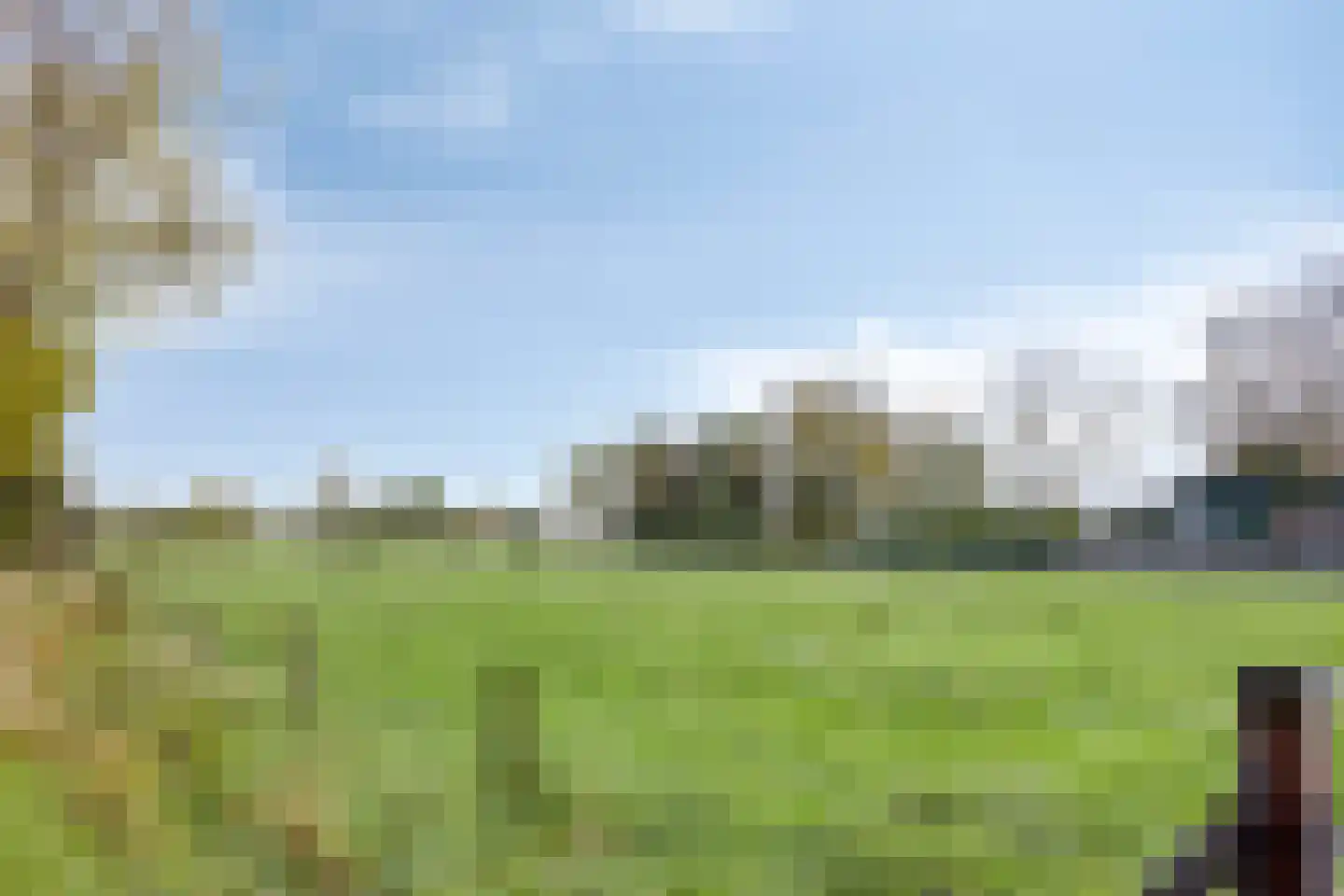 Gealeloane 5 Augustinusga thumbnail 5