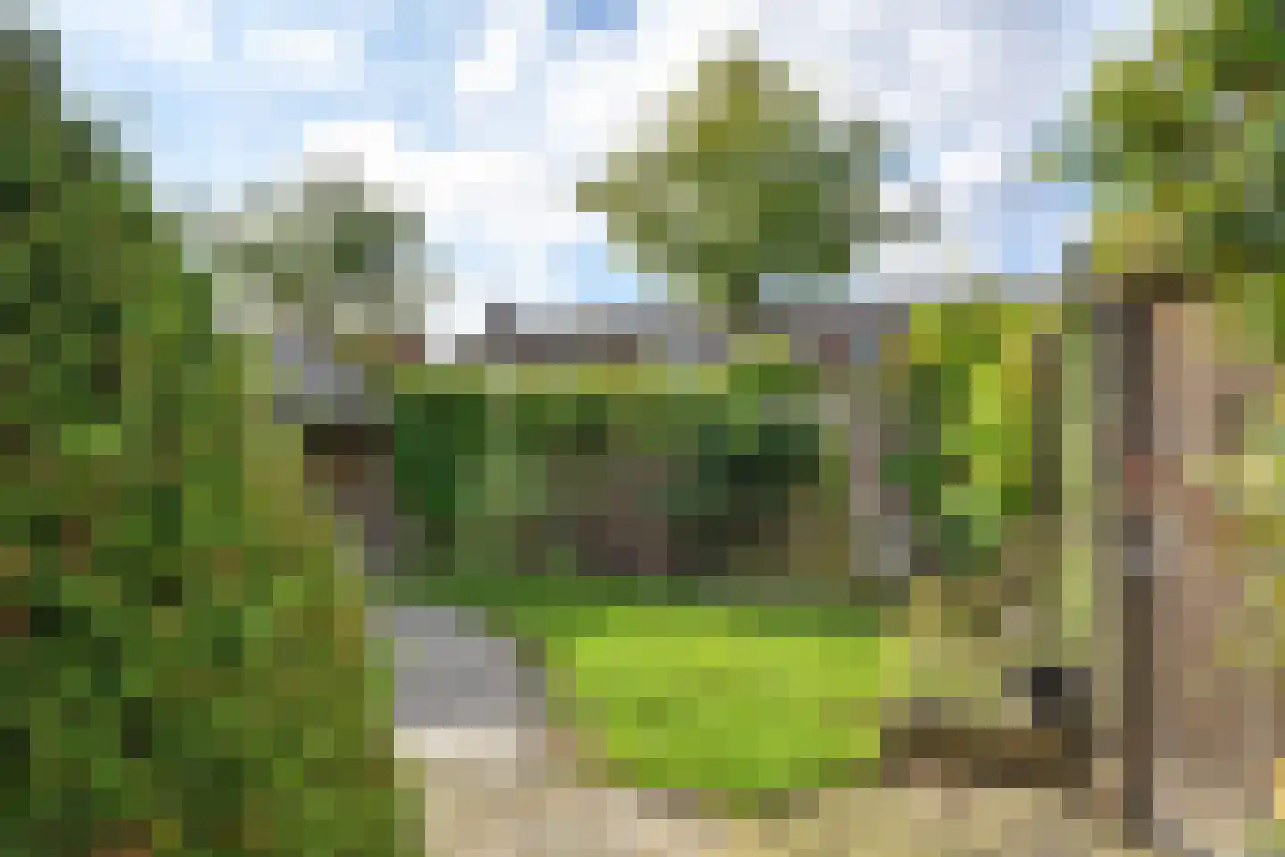 Gealewei 1 A Twijzelerheide thumbnail 12