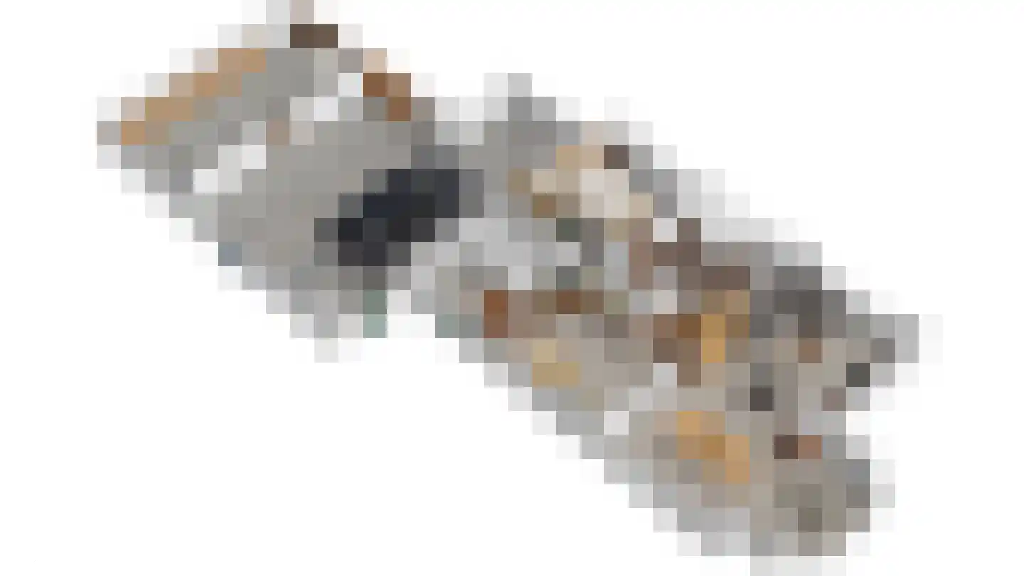 Gealewei 1 A Twijzelerheide thumbnail 18