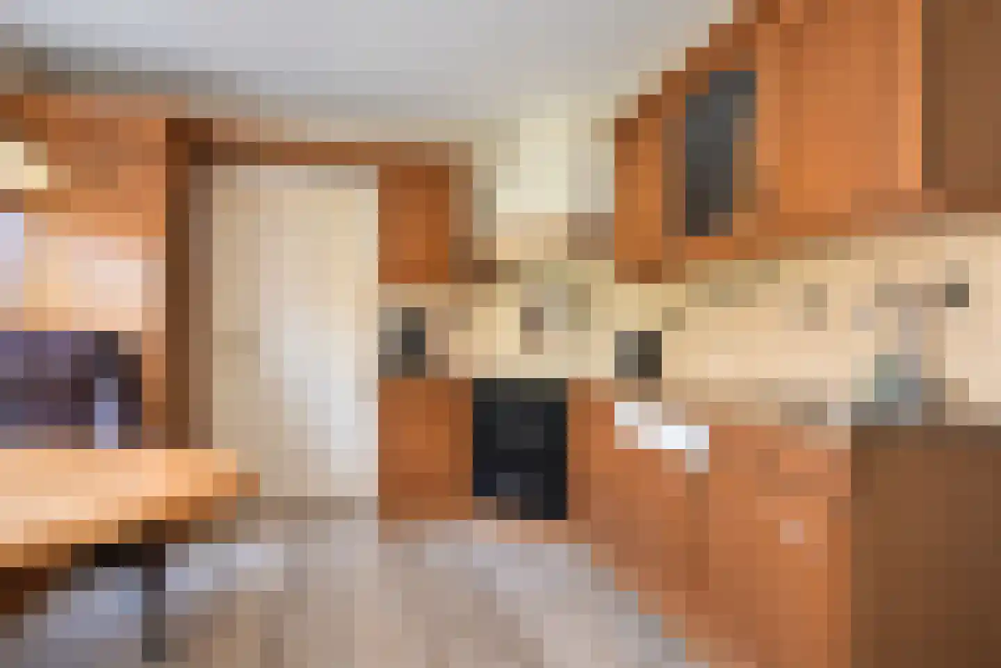 Gealewei 1 A Twijzelerheide thumbnail 30
