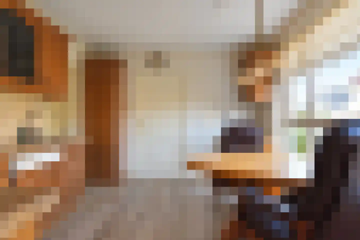 Gealewei 1 A Twijzelerheide thumbnail 31