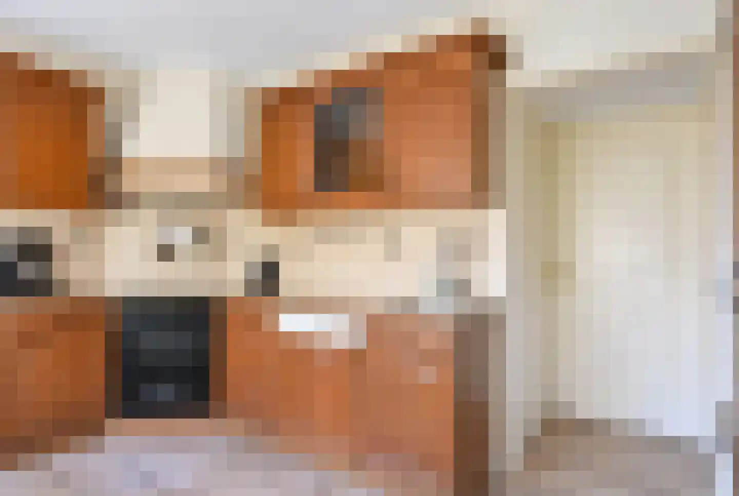 Gealewei 1 A Twijzelerheide thumbnail 32
