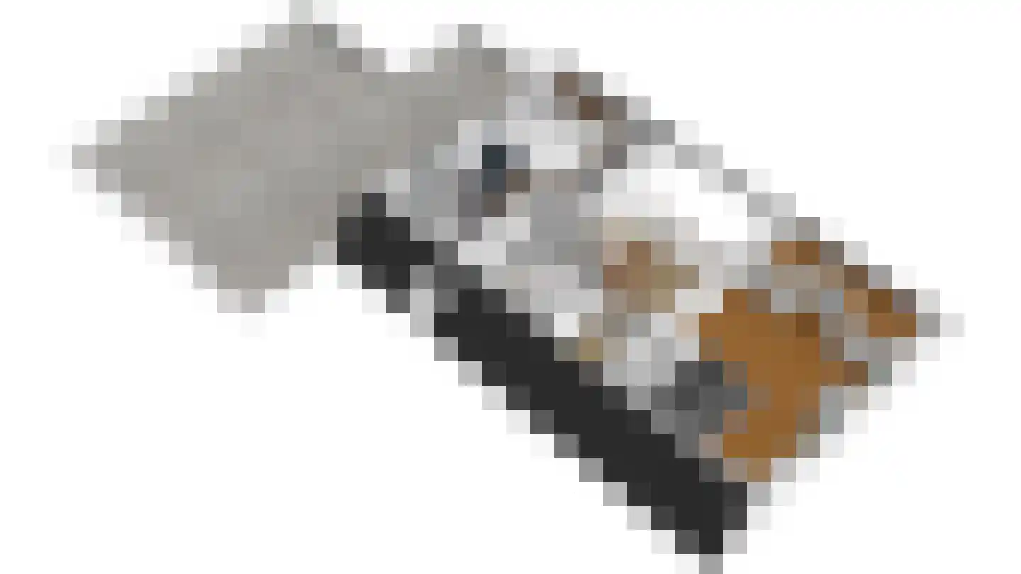 Gealewei 1 A Twijzelerheide thumbnail 43