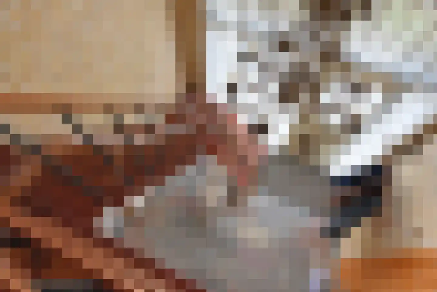 Gealewei 1 A Twijzelerheide thumbnail 44