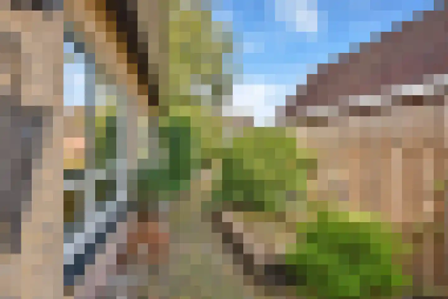 Gealewei 1 A Twijzelerheide thumbnail 6