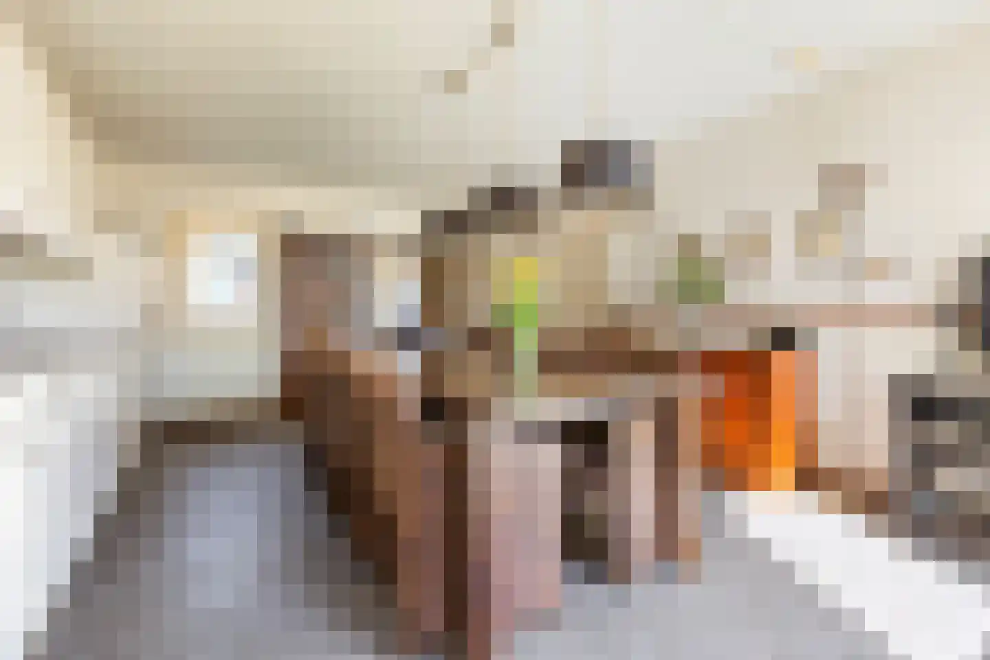 Gealstrjitte 1 Drogeham thumbnail 13