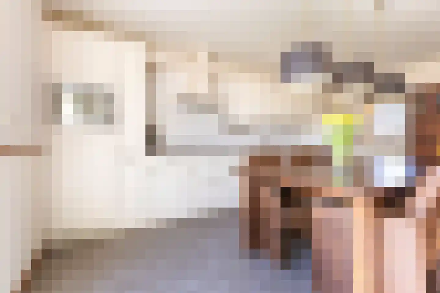 Gealstrjitte 1 Drogeham thumbnail 14