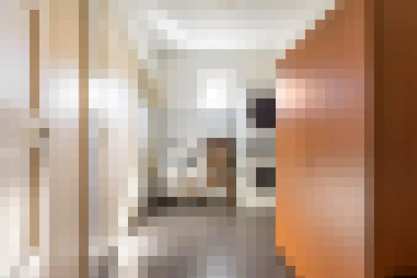 Gealstrjitte 1 Drogeham thumbnail 19