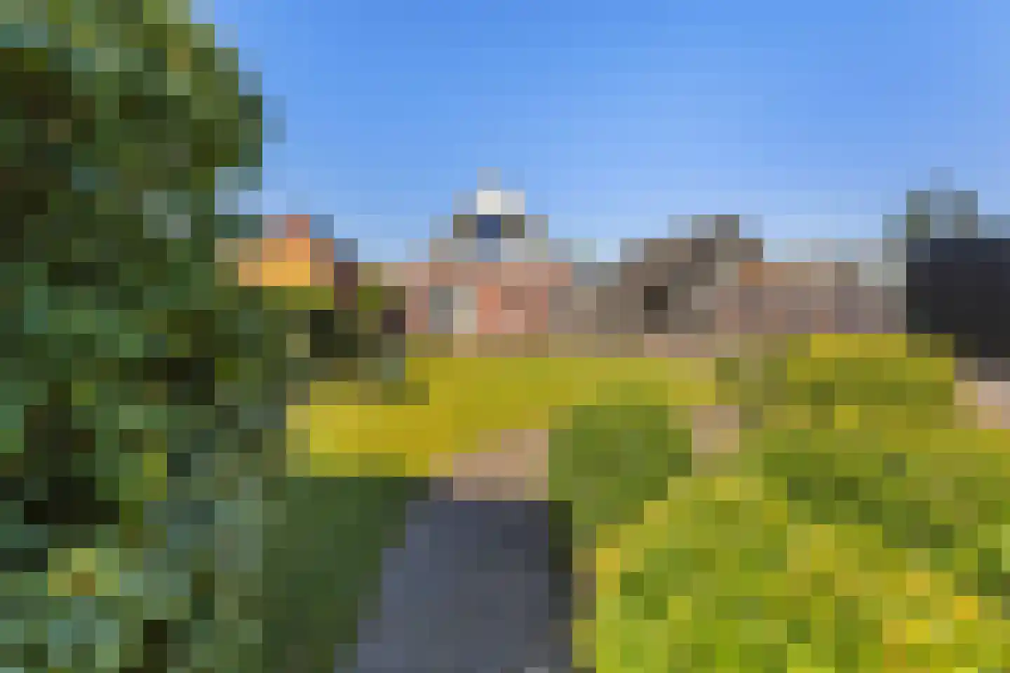 Gealstrjitte 1 Drogeham foto 2