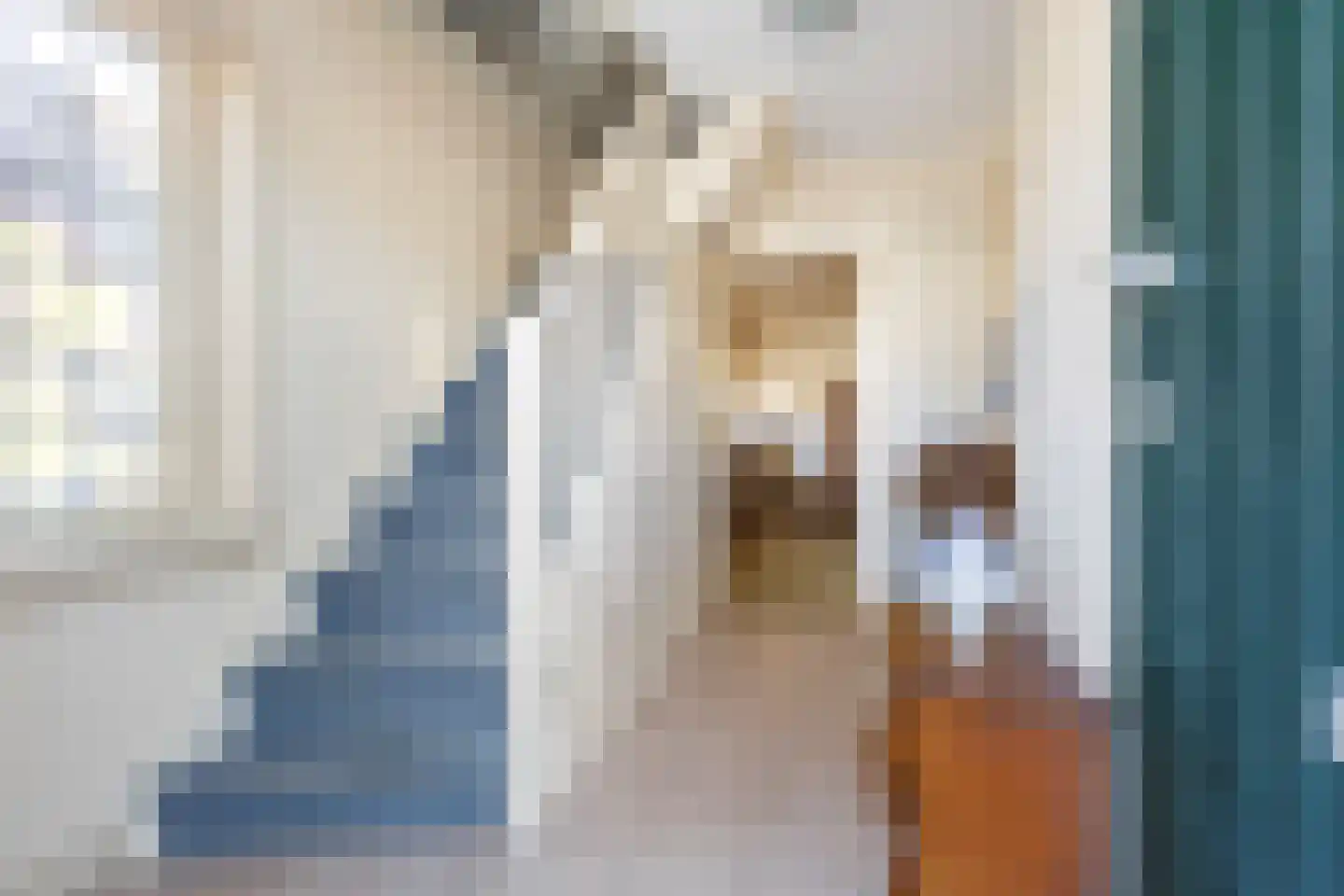 Gealstrjitte 1 Drogeham thumbnail 21