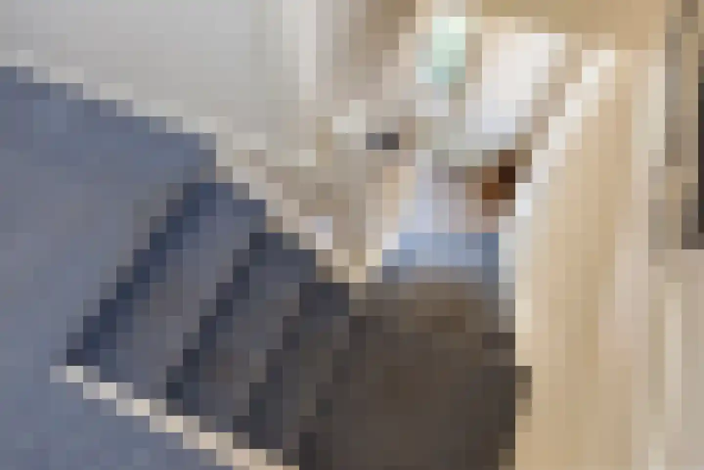 Gealstrjitte 1 Drogeham thumbnail 22