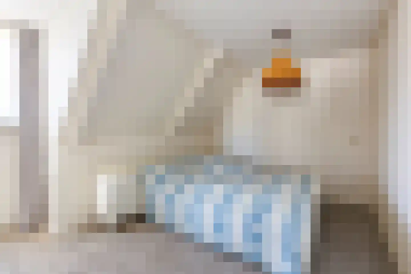 Gealstrjitte 1 Drogeham thumbnail 24