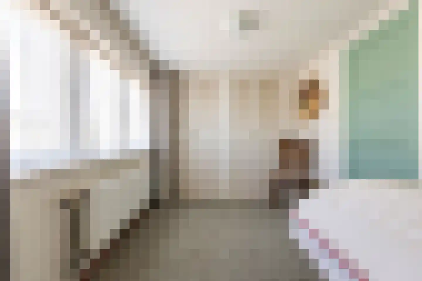 Gealstrjitte 1 Drogeham thumbnail 26