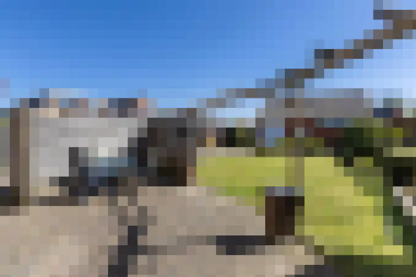 Gealstrjitte 1 Drogeham thumbnail 33