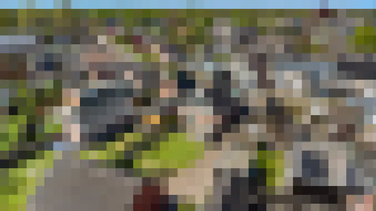 Gealstrjitte 1 Drogeham thumbnail 42
