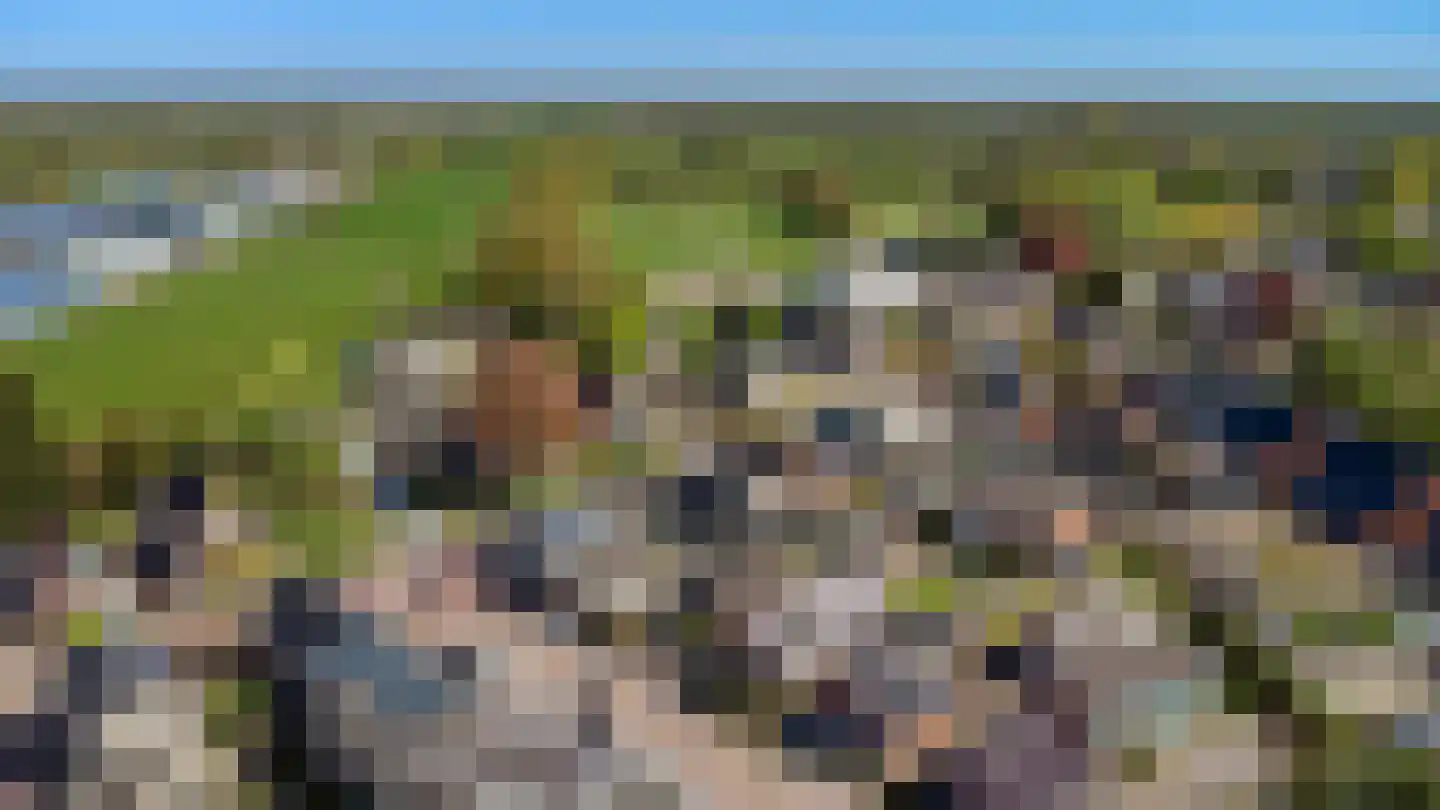Gealstrjitte 1 Drogeham thumbnail 43