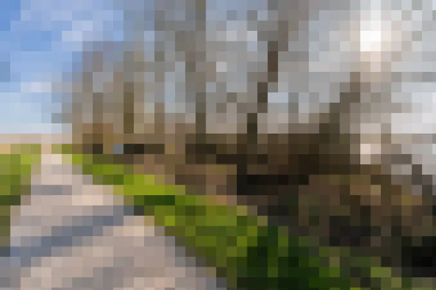 Geau 304 Oudega thumbnail 12