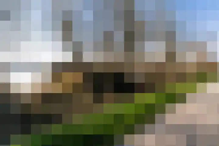Geau 304 Oudega thumbnail 13