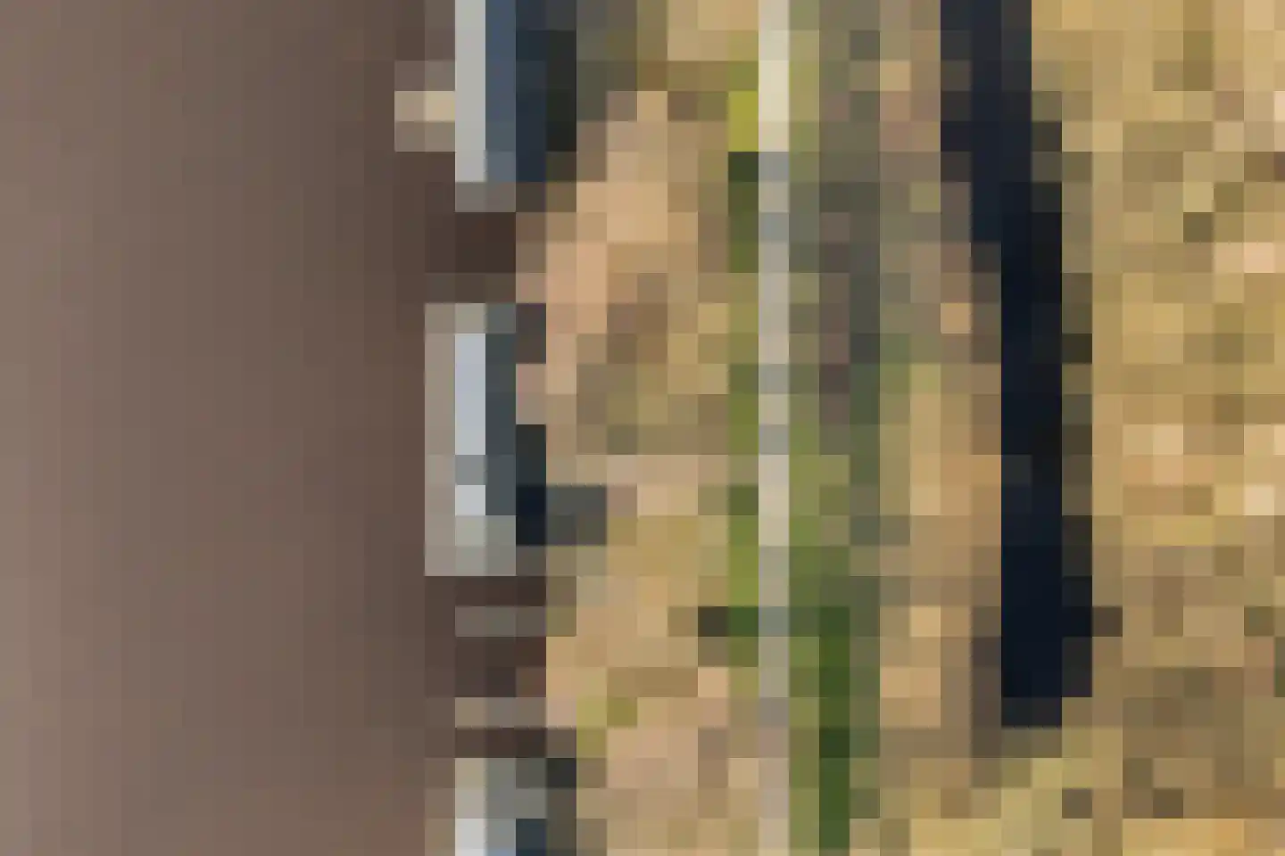 Geau 304 Oudega thumbnail 27