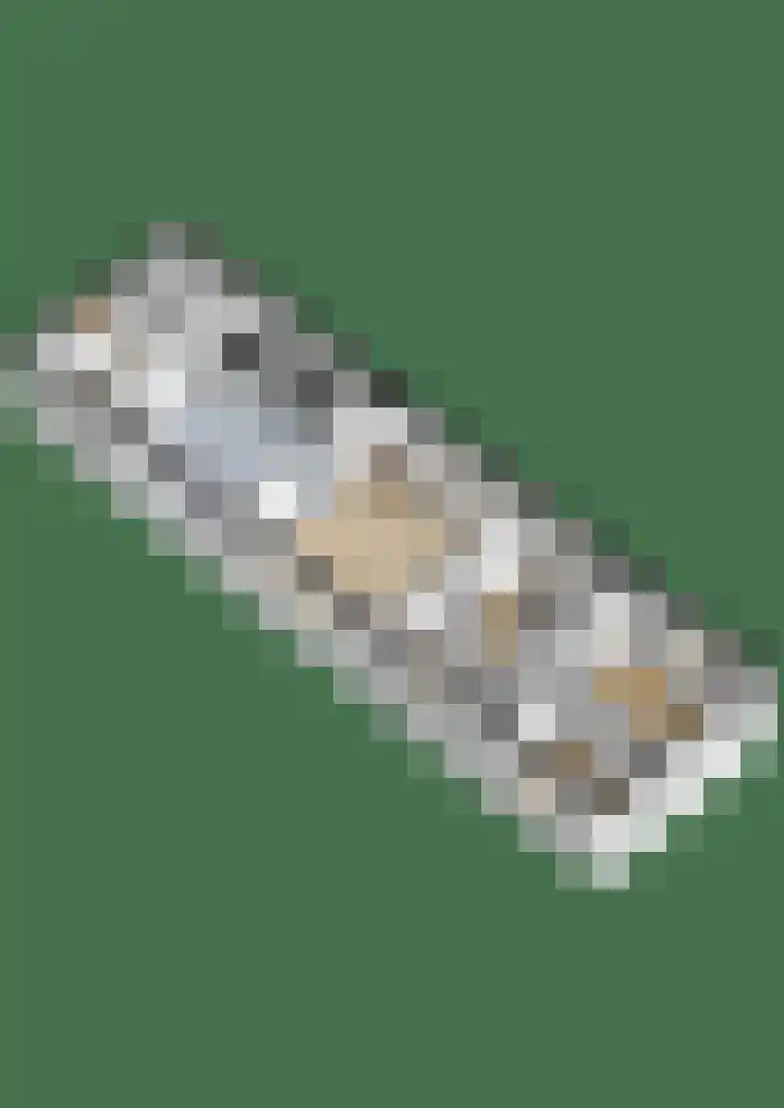 Geau 304 Oudega thumbnail 33