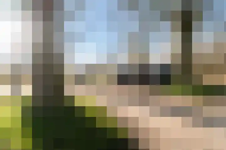 Geau 304 Oudega thumbnail 9