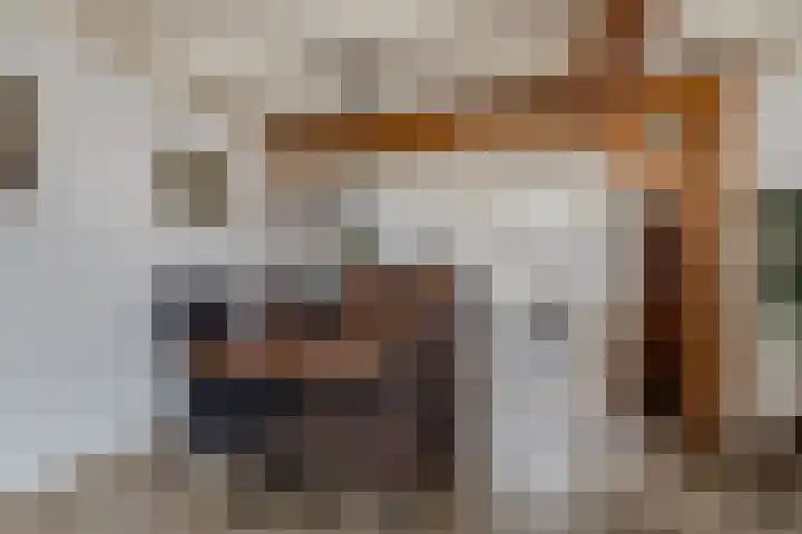 Geawei 21 Augustinusga thumbnail 14