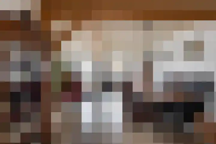 Geawei 21 Augustinusga thumbnail 15
