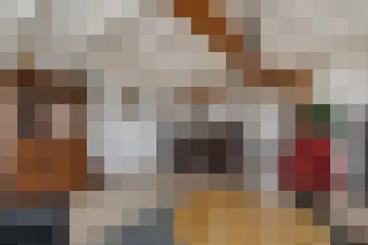 Geawei 21 Augustinusga thumbnail 20