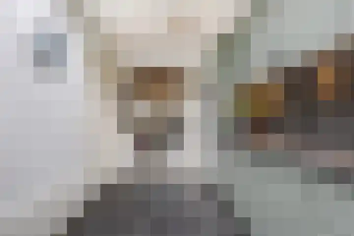Geawei 21 Augustinusga thumbnail 21