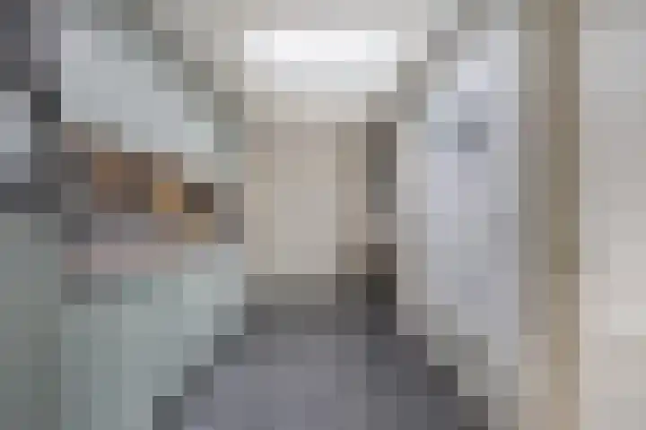 Geawei 21 Augustinusga thumbnail 22