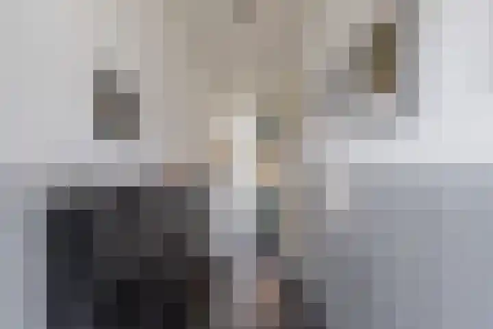 Geawei 21 Augustinusga thumbnail 24