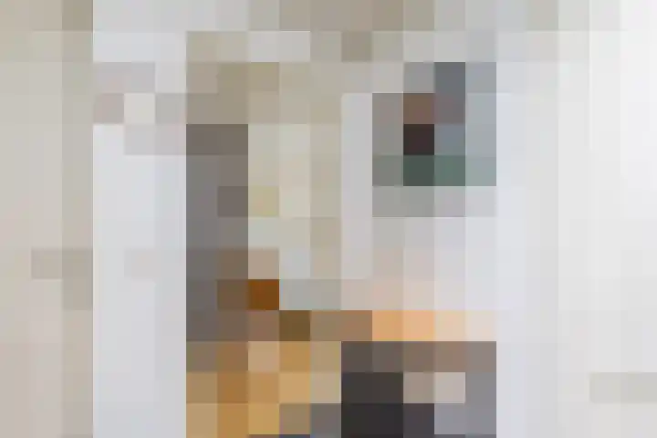 Geawei 21 Augustinusga thumbnail 26