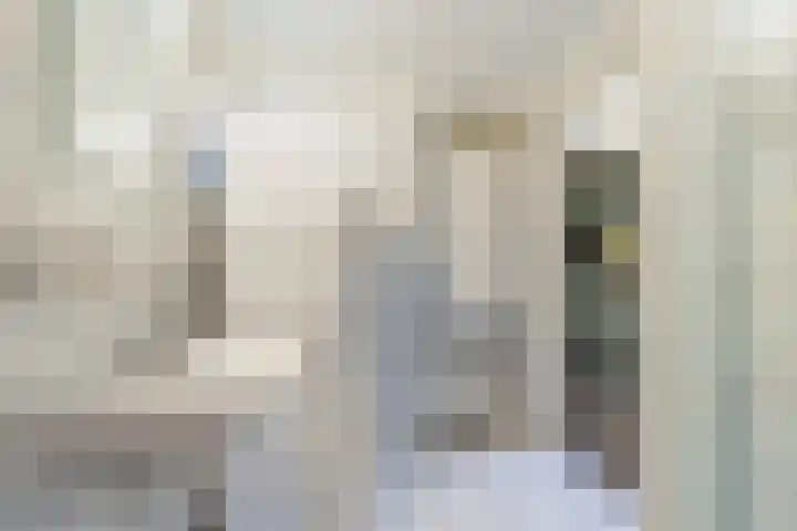 Geawei 21 Augustinusga thumbnail 29