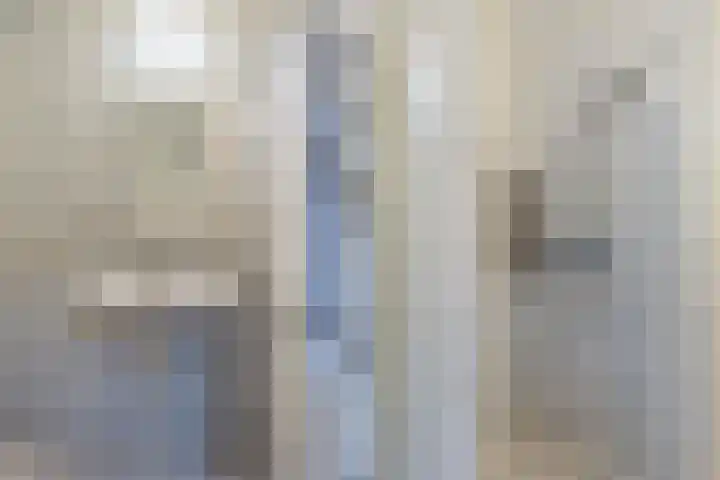 Geawei 21 Augustinusga thumbnail 30