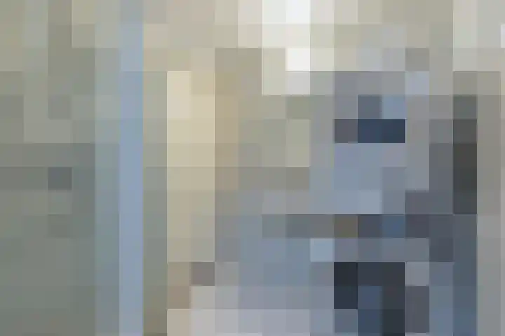 Geawei 21 Augustinusga thumbnail 31