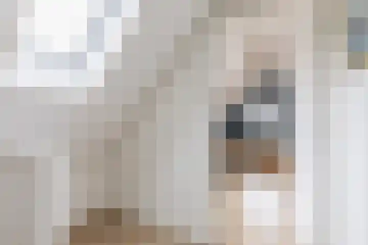 Geawei 21 Augustinusga thumbnail 34