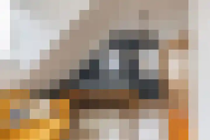 Geawei 21 Augustinusga thumbnail 35