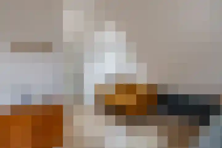 Geawei 21 Augustinusga thumbnail 36