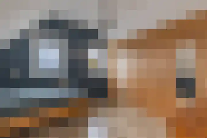 Geawei 21 Augustinusga thumbnail 37