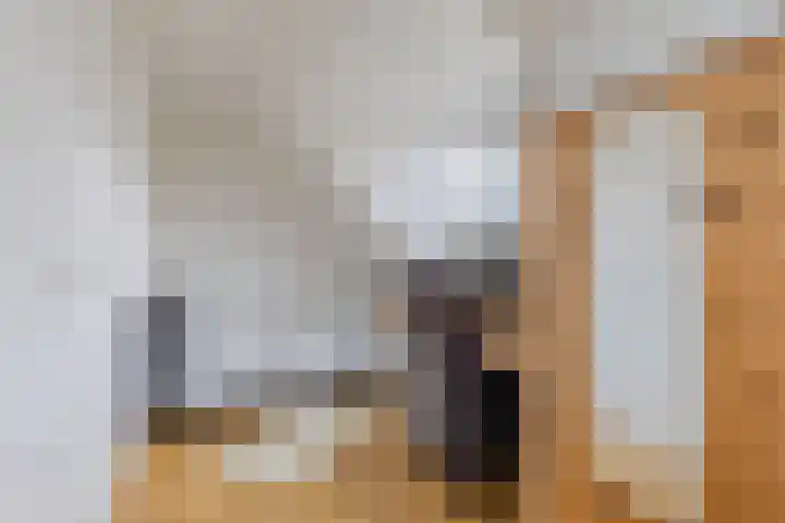 Geawei 21 Augustinusga thumbnail 38