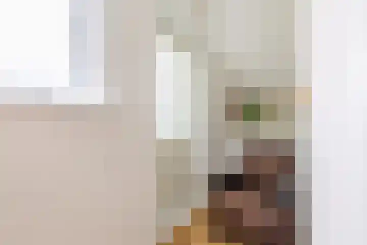 Geawei 21 Augustinusga thumbnail 39