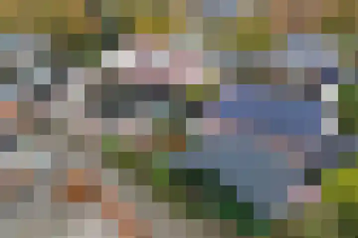 Geawei 21 Augustinusga thumbnail 4