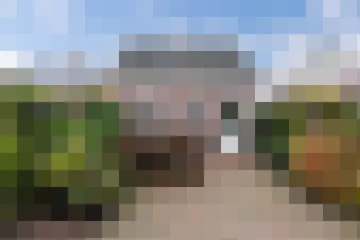 Geawei 21 Augustinusga thumbnail 41