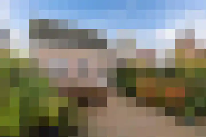 Geawei 21 Augustinusga thumbnail 42