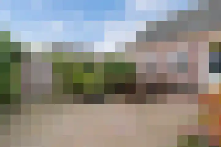 Geawei 21 Augustinusga thumbnail 43