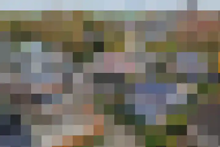 Geawei 21 Augustinusga thumbnail 46